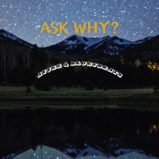 Ask Why?