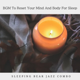 BGM To Reset Your Mind And Body For Sleep