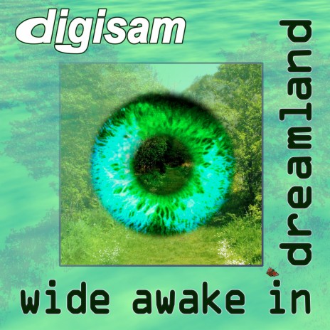 Wide Awake in Dreamland | Boomplay Music