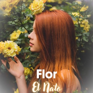 Flor