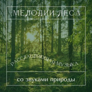 Мелодии леса: Расслабляющая музыка со звуками природы