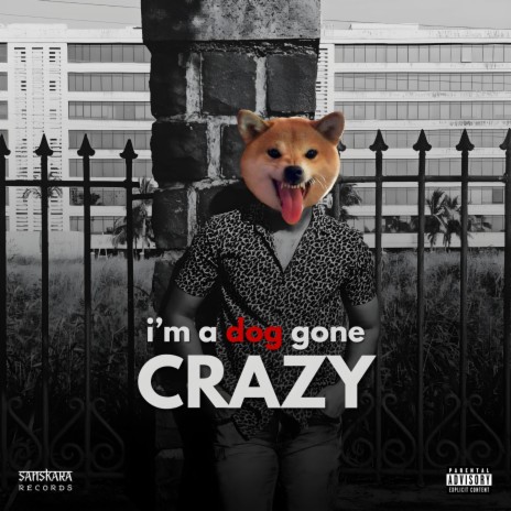 I'm A Dog Gone Crazy | Boomplay Music