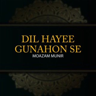 Dil Hayee Gunahon Se