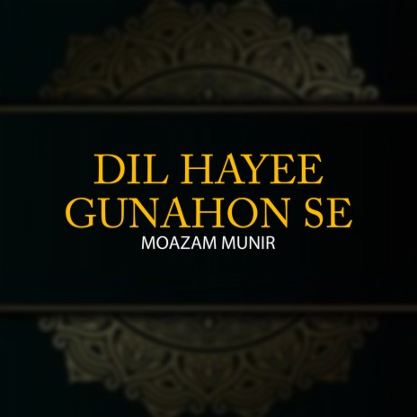 Dil Hayee Gunahon Se | Boomplay Music