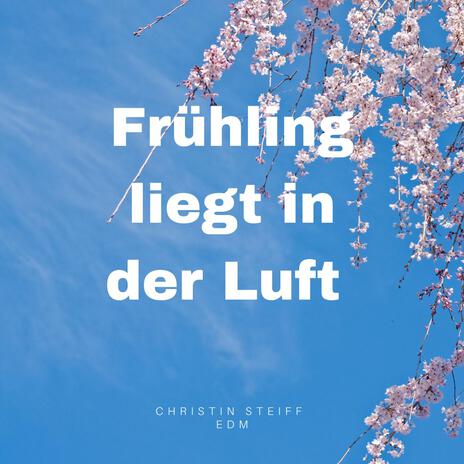 Frühling liegt in der Luft (EDM) | Boomplay Music