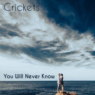 You Will Never Know (Cover)