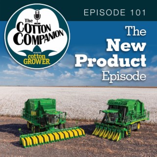 The New Product Episode