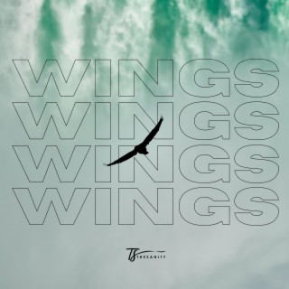 wings