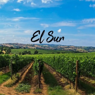 El Sur