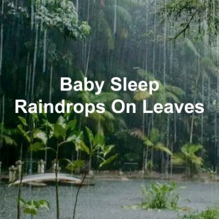 Baby Sleep Raindrops on Leaves
