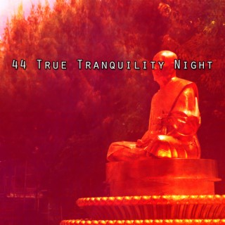 44 True Tranquility Night