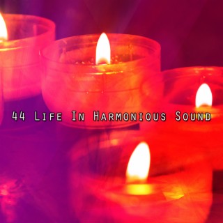 44 Life In Harmonious Sound
