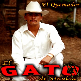 El Gato De Sinaloa