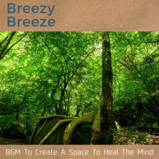 BGM To Create A Space To Heal The Mind