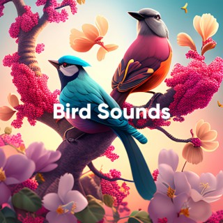 Bird Sounds: Early Morning Bird Song