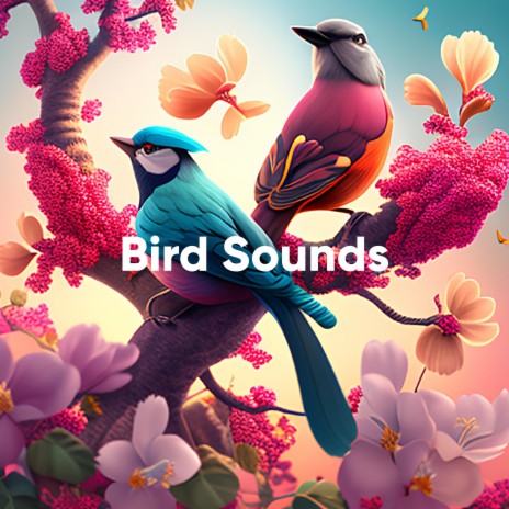 Birds Singing in the Garden | Boomplay Music