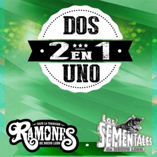 Los Ramones De Nuevo Leon