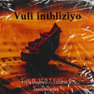 Vuli inthliziyo