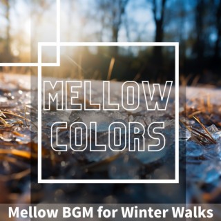 Mellow BGM for Winter Walks