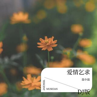 爱情乞求 DJ版