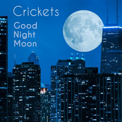 Good Night Moon | Boomplay Music