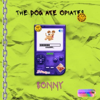 The Dog Ate Opiates