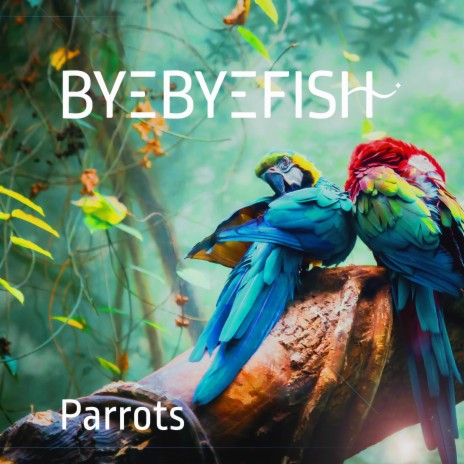 Parrots | Boomplay Music
