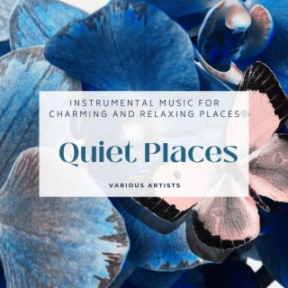 Quiet Places: Instrumental Music for Charming and Relaxing Places