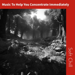 Music To Help You Concentrate Immediately