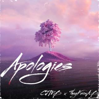 Apologies ft. TheyKnowA.B. lyrics | Boomplay Music