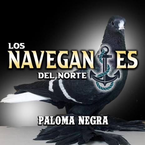 Paloma Negra | Boomplay Music