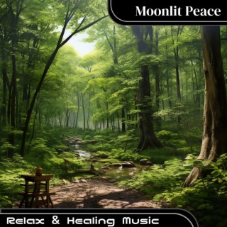Relax & Healing Music
