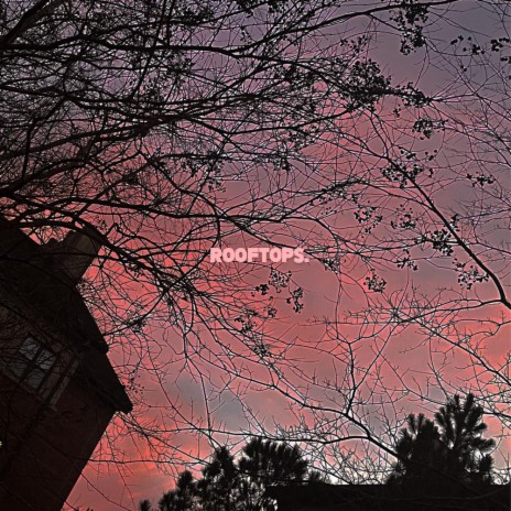 rooftops | Boomplay Music