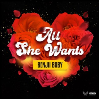 All She Wants lyrics | Boomplay Music