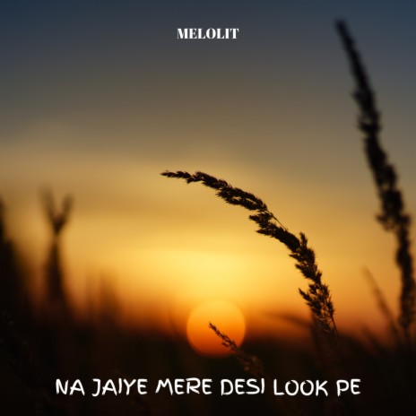 Na Jaiye Mere Desi Look Pe | Boomplay Music