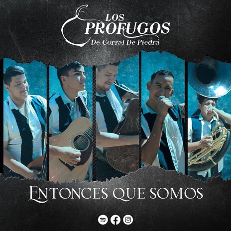 Entonces Que Somos | Boomplay Music