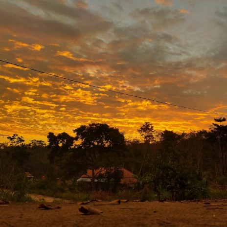 The Amazing Hyena