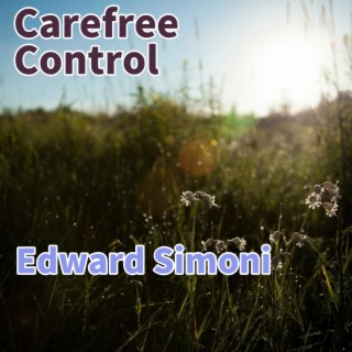Carefree Control