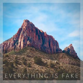 Everything Is Fake