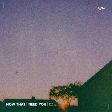 Now That I Need You | Boomplay Music