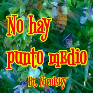 No hay punto medio Bt. Nicolsky