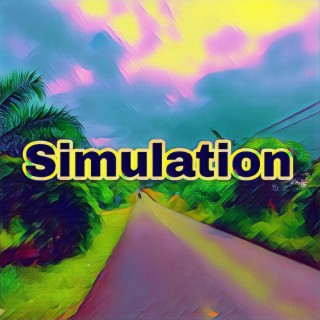 Simulation