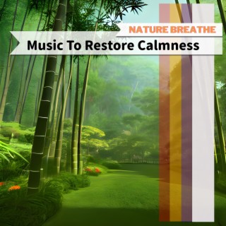 Music To Restore Calmness