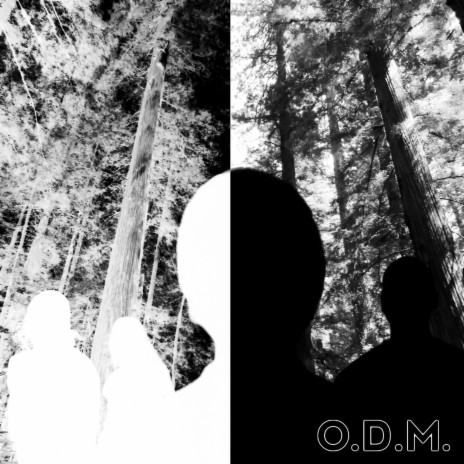 ODM | Boomplay Music