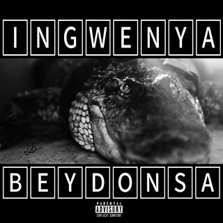 Ingwenya Beydonsa