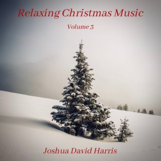 Relaxing Christmas Music, Vol. 3
