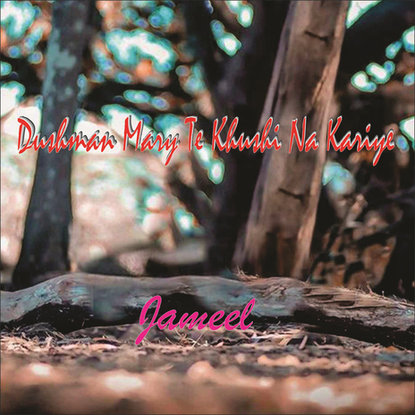 Dushman Mary Te Khushi Na Kariye (Live) | Boomplay Music