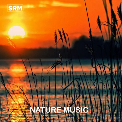 Nature Music 06 | Boomplay Music