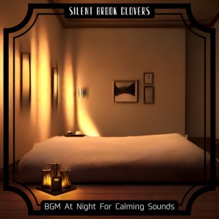 BGM At Night For Calming Sounds