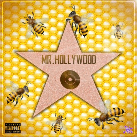 Mr Hollywood